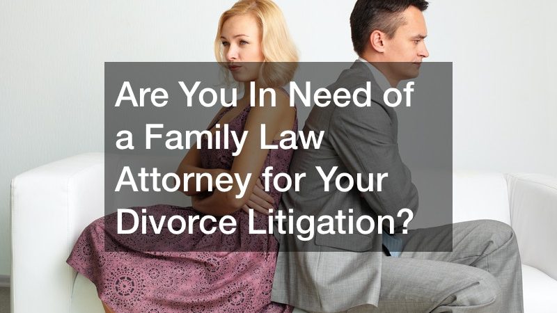 Are You in Need of a Family Law Professional?