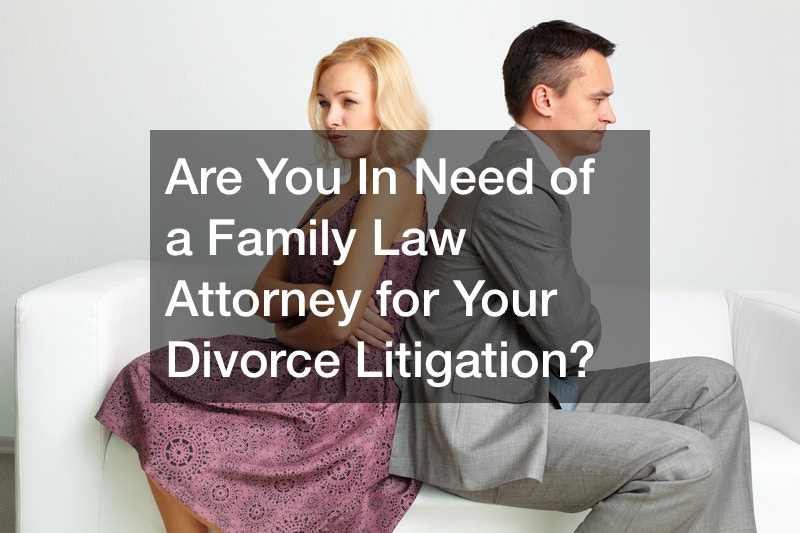 Are You in Need of a Family Law Professional?