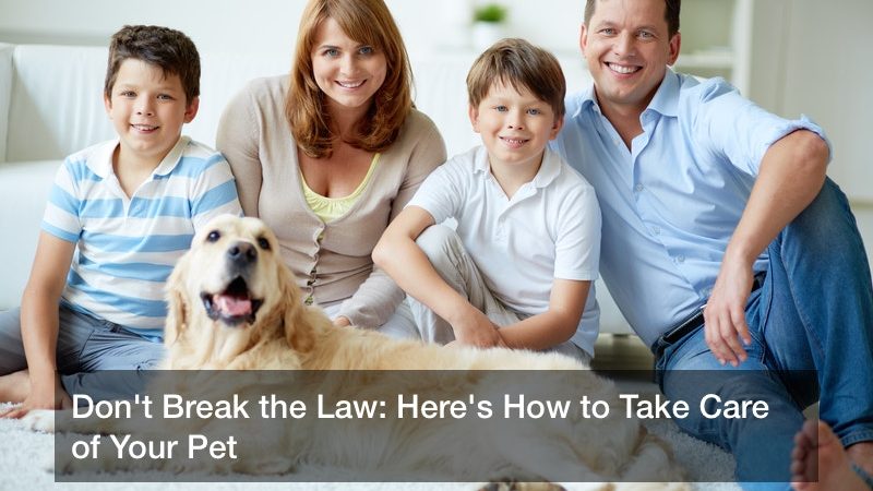 Don’t Break the Law: Here’s How to Take Care of Your Pet