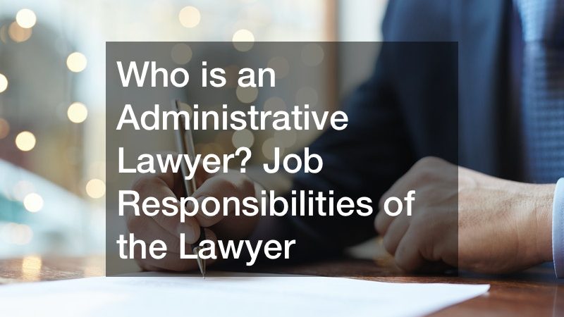 Job Insight: Administrative Lawyer