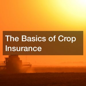 The Basics of Crop Insurance