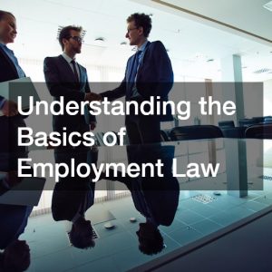 Understanding the Basics of Employment Law