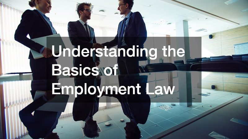 Understanding the Basics of Employment Law