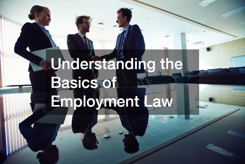 Understanding the Basics of Employment Law